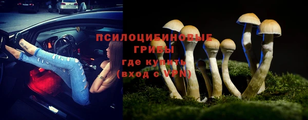 прущая мука Гусь-Хрустальный