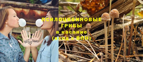 соль курить ск Гусев