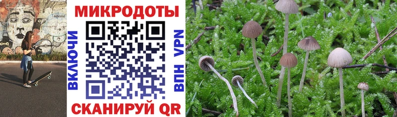 Галлюциногенные грибы Magic Shrooms Пионерский